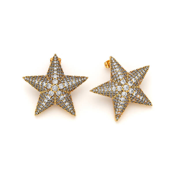 Algedi Zircon Gold Plated Star Stud Earrings - 1