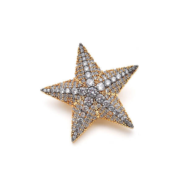 Dream Zircon Stone Star Charm - Empt - 1