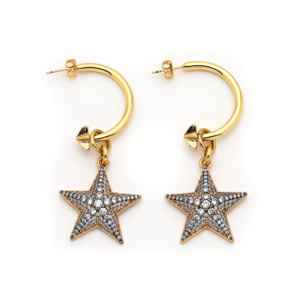 Elizabeth Gold Plated Star Zircon Charm Pins Earring - 1