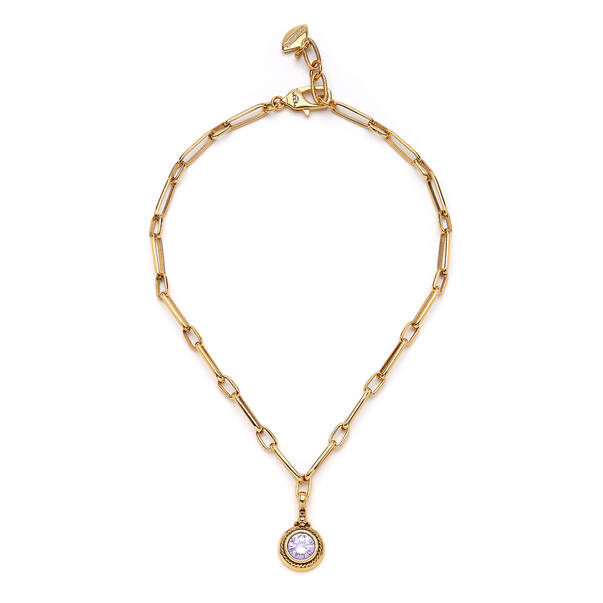 Esme Zircon Gold Plated Necklace - 1