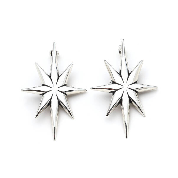 Starlight Silver Plated Star Earrings - 1