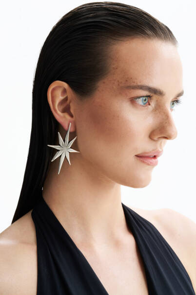 Starlight Silver Plated Star Earrings - 3